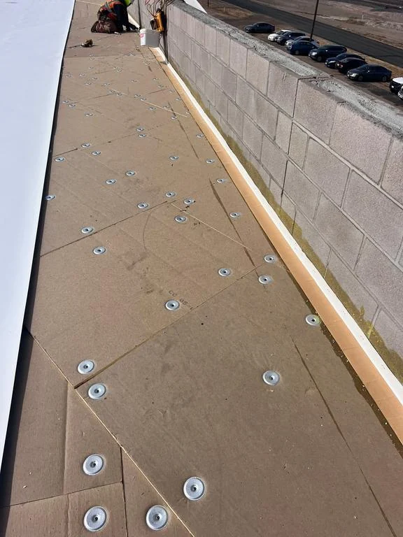 TPO roof cover board secured with fastener plates beside a commercial parapet wall in Colorado