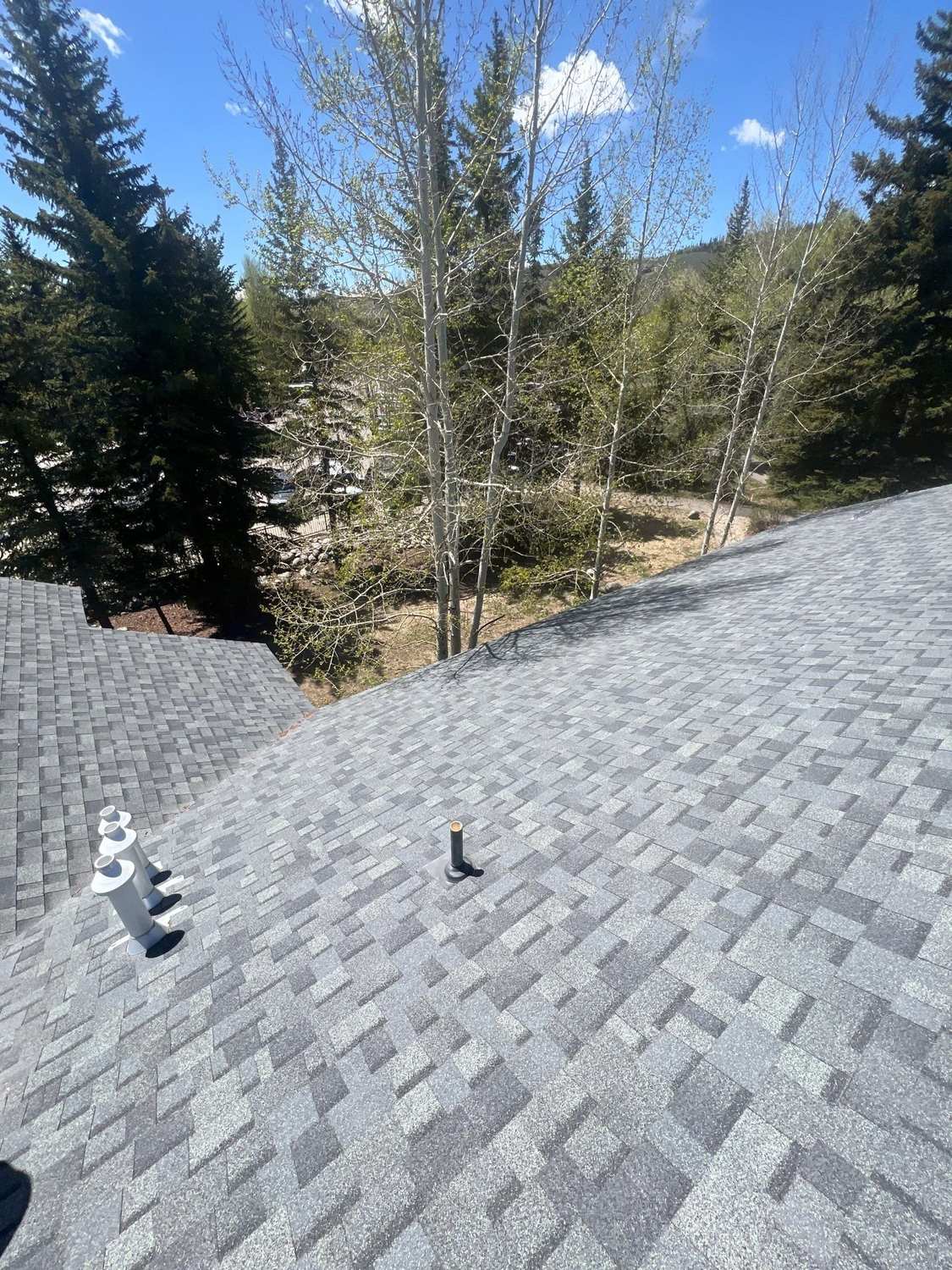 Commercial asphalt shingle roof with aspens and pines in Silverthorne, CO