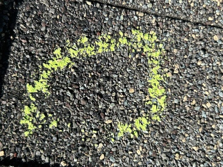 Chalk circle marking a hail hit with granule loss on an asphalt shingle in Aurora, CO