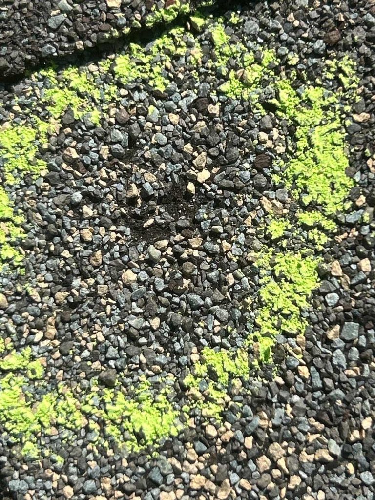 Tight close-up of a chalk-circled hail hit on a shingle in Aurora, CO