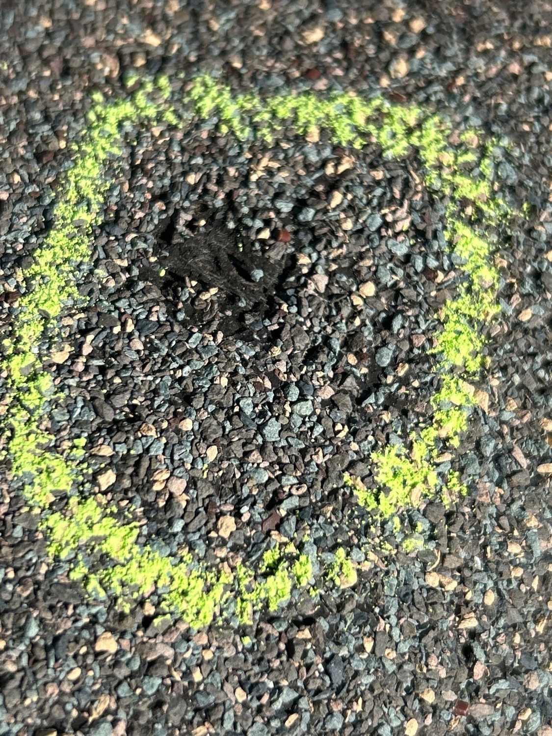 Close-up of a chalk-circled hail bruise with granule loss in Aurora, CO