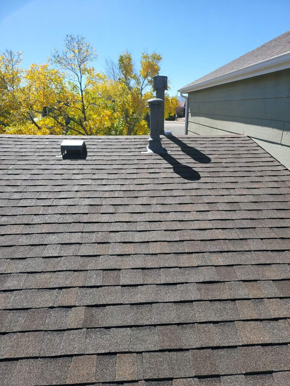 TAMKO shingle roof in Highlands Ranch, CO