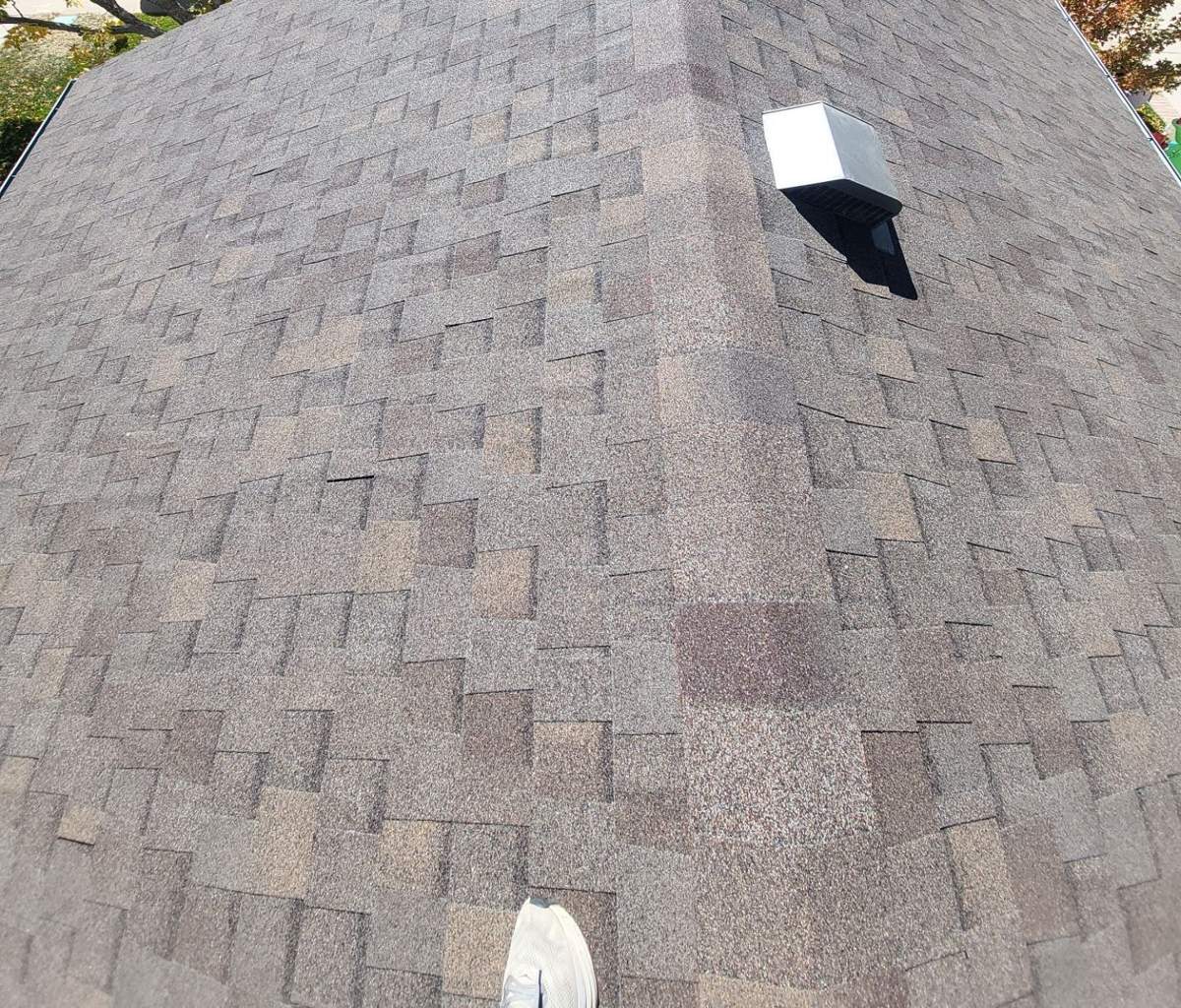 TAMKO shingle hip roof in Highlands Ranch, CO