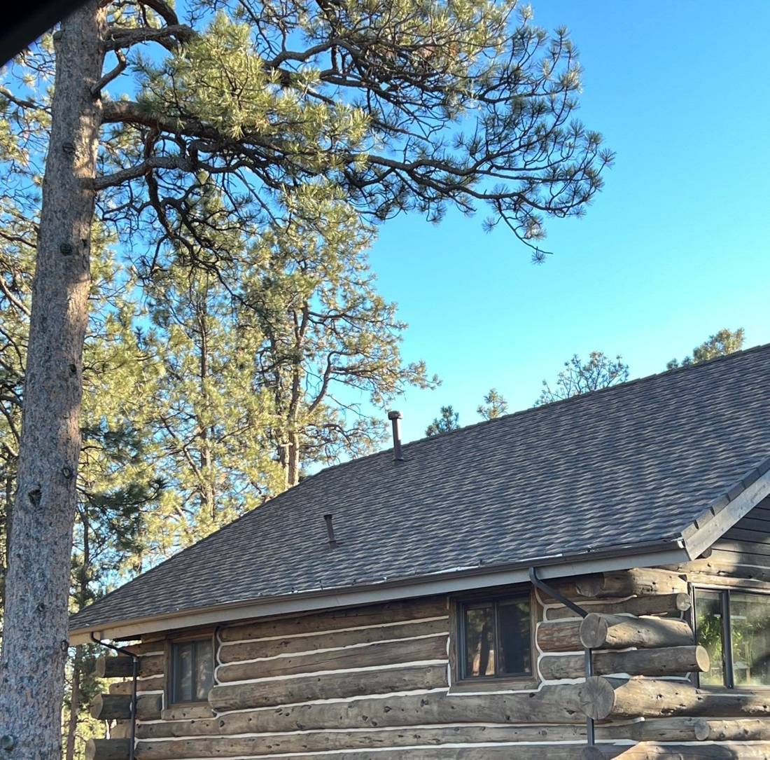 Stone-coated steel roof in Timberwood on a log home among pine trees