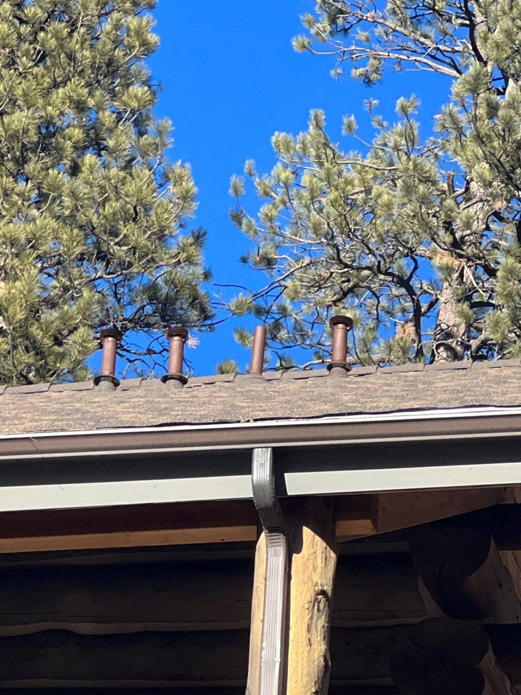 Eave and gutter line of a Timberwood stone-coated steel roof with flue pipes