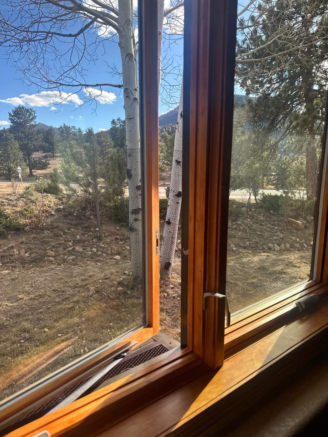Open wood casement window from inside looking out to trees